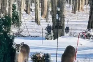 179 Herrmann Dr, Avon Lake, OH 44012 - Photo 2