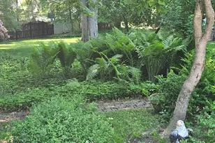 5743 Mills Creek Ln, North Ridgeville, OH 44039 - Photo 48