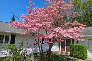 5743 Mills Creek Ln, North Ridgeville, OH 44039 - Photo 44