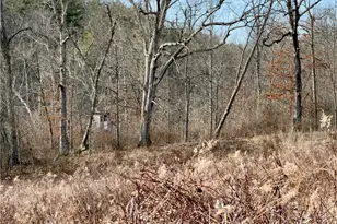 17377 Murphy Rd, Amesville, OH 45711 - Photo 42