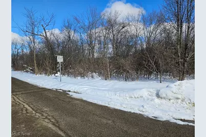 Miles Road, Loveland, OH 44128 - Photo 1
