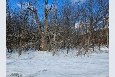 Miles Road, Loveland, OH 44128 - Photo 4