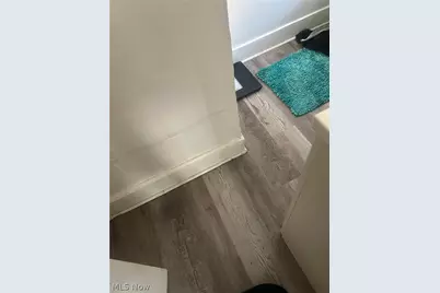 4119 E 138th Street, Loveland, OH 44105 - Photo 8