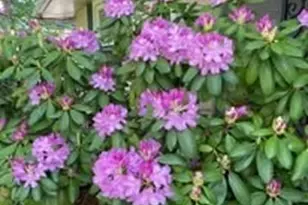 6445 Lake Ave, Elyria, OH 44035 - Photo 30