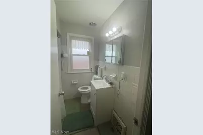 11511 Bradwell Road, Loveland, OH 44125 - Photo 10