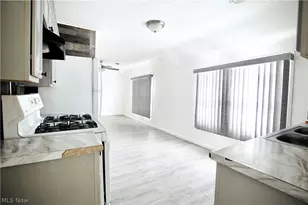 3459 W 50th St, Loveland, OH 44102 - Photo 22