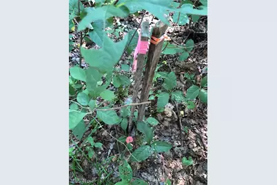 1475 St Rte 124, Coolville, OH 45723 - Photo 26