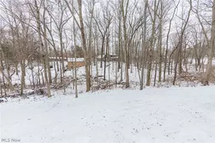 76 Forest Mill Ln, Green, OH 44319 - Photo 46