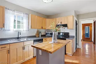 209 Pleasant St, Bellevue, OH 44811 - Photo 24