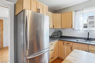 209 Pleasant St, Bellevue, OH 44811 - Photo 22