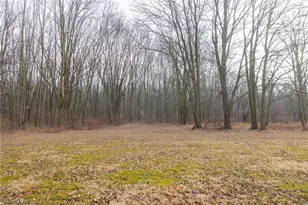 7389 Doylestown Rd, Sterling, OH 44276 - Photo 8