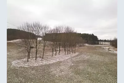 10170 N Morrison Road, Dresden, OH 43821 - Photo 6