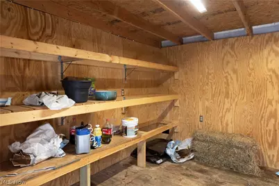 10170 N Morrison Road, Dresden, OH 43821 - Photo 38