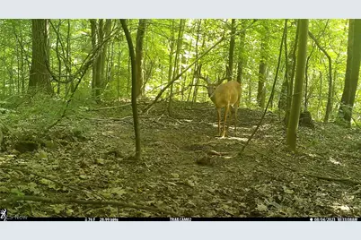 3800 E Darlington Road, Zanesville, OH 43701 - Photo 24