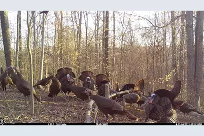 3800 E Darlington Road, Zanesville, OH 43701 - Photo 26