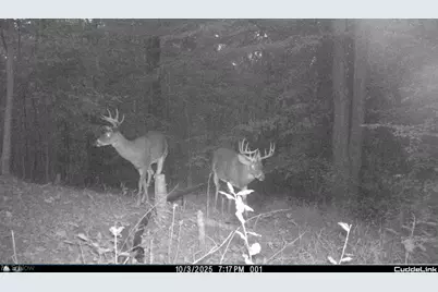 3800 E Darlington Road, Zanesville, OH 43701 - Photo 20