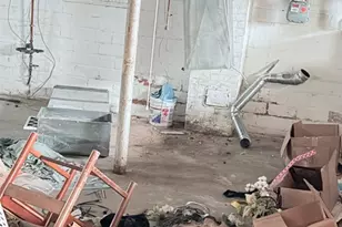 3216 Riverside Ave, Loveland, OH 44109 - Photo 32