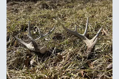 Ridgeview Lane, Blue Rock, OH 43727 - Photo 22