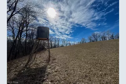 Ridgeview Lane, Blue Rock, OH 43727 - Photo 2