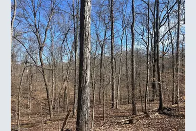 Ridgeview Lane, Blue Rock, OH 43727 - Photo 14