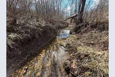 Ridgeview Lane, Blue Rock, OH 43727 - Photo 30