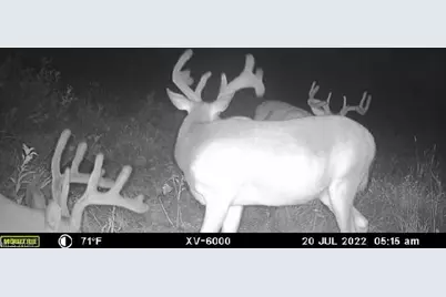 Ridgeview Lane, Blue Rock, OH 43727 - Photo 38