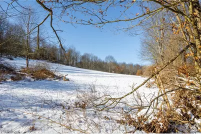 Ne Avon Road, Carrollton, OH 44615 - Photo 24