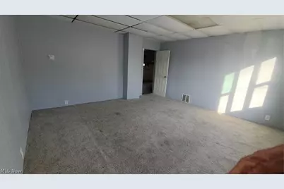7209 Park Avenue, Loveland, OH 44105 - Photo 10