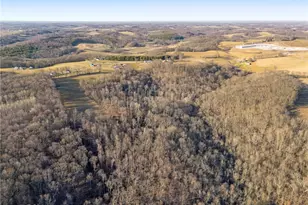 3188 Amsterdam Rd SE, Scio, OH 43988 - Photo 40