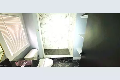 2109 W 42nd Street, Loveland, OH 44113 - Photo 16