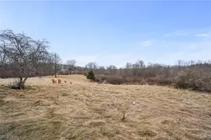 66887 & 66879 Wintergreen Rd, Lore City, OH 43755 - Photo 14