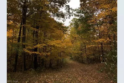 3832 Sharon Copley Road, Medina, OH 44256 - Photo 48