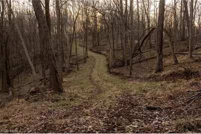 32290 Bailey Run Road, Pomeroy, OH 45769 - Photo 24