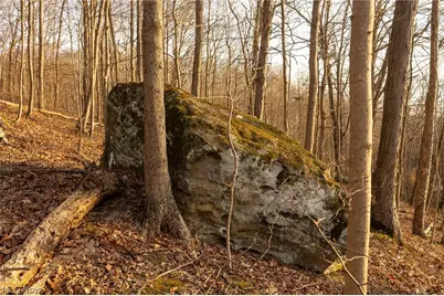 32290 Bailey Run Road, Pomeroy, OH 45769 - Photo 8