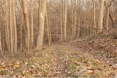 32290 Bailey Run Road, Pomeroy, OH 45769 - Photo 22