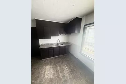 2179 W 106th Street, Loveland, OH 44102 - Photo 4