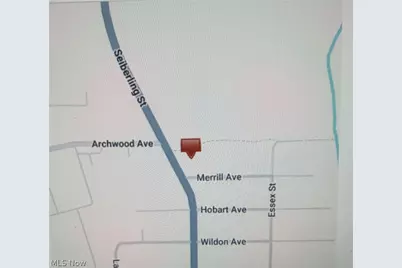 561 Seiberling Street, Akron, OH 44306 - Photo 10