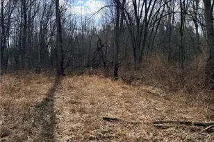 6223 Wayland Rd, Ravenna, OH 44266 - Photo 50