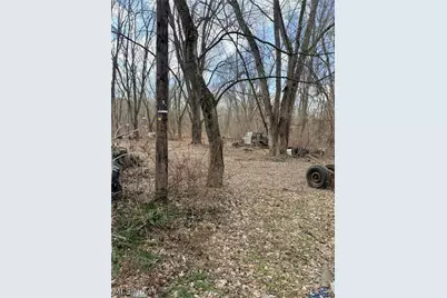 6223 Wayland Road, Ravenna, OH 44266 - Photo 40