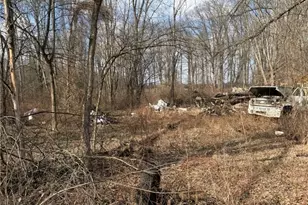 6223 Wayland Rd, Ravenna, OH 44266 - Photo 48