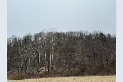 35515 State Route  800, Sardis, OH 43946 - Photo 6