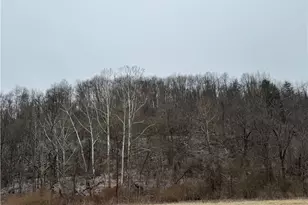 35515 State Route 800, Sardis, OH 43946 - Photo 6
