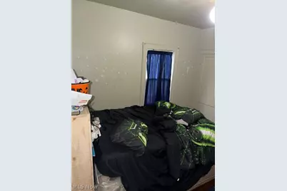 3310 E 119 Street, Loveland, OH 44120 - Photo 20