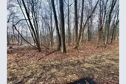 Forest Lane, Nashport, OH 43830 - Photo 4