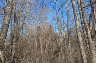 0 Township Road 215, New Lexington, OH 43764 - Photo 1