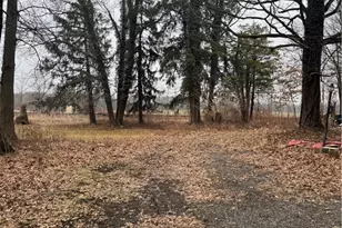 14665 W Akron-Canfield Rd, Berlin Center, OH 44401 - Photo 2