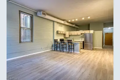 408 W Saint Clair Avenue #223, Loveland, OH 44113 - Photo 2