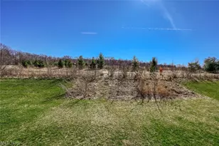 3564 Shady Timber Dr, Twinsburg, OH 44087 - Photo 28