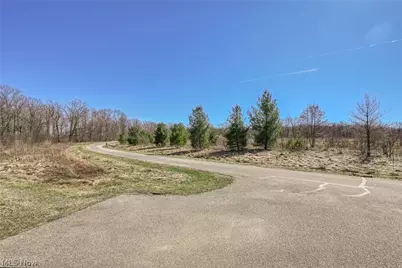3564 Shady Timber Drive, Twinsburg, OH 44087 - Photo 32