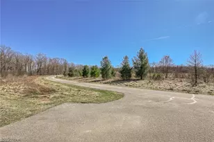 3564 Shady Timber Dr, Twinsburg, OH 44087 - Photo 32